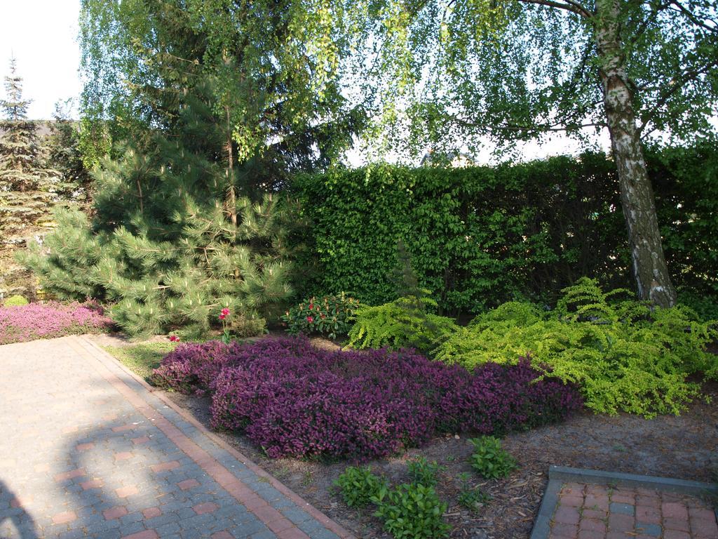 Ferienwohnung Pokoje U Beaty Władysławowo Exterior foto